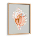 Murex Rosa - Michael Willett | Cuadro decorativo de Canvas Lab