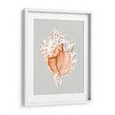 Murex Rosa - Michael Willett | Cuadro decorativo de Canvas Lab