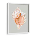 Murex Rosa - Michael Willett | Cuadro decorativo de Canvas Lab