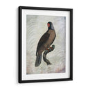 Parrot Jungle I - John Butler | Cuadro decorativo de Canvas Lab