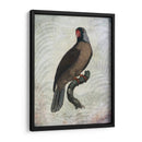 Parrot Jungle I - John Butler | Cuadro decorativo de Canvas Lab