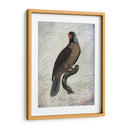 Parrot Jungle I - John Butler | Cuadro decorativo de Canvas Lab