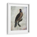 Parrot Jungle I - John Butler | Cuadro decorativo de Canvas Lab
