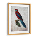 Parrot Jungle Ii - John Butler | Cuadro decorativo de Canvas Lab