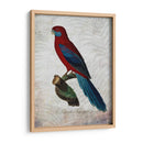 Parrot Jungle Ii - John Butler | Cuadro decorativo de Canvas Lab