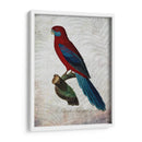 Parrot Jungle Ii - John Butler | Cuadro decorativo de Canvas Lab