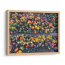 Demos un paseo entre los pinos de colores | Cuadro decorativo de Canvas Lab