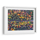 Demos un paseo entre los pinos de colores | Cuadro decorativo de Canvas Lab
