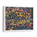 Demos un paseo entre los pinos de colores | Cuadro decorativo de Canvas Lab