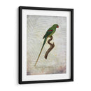 Parrot Jungle Iii - John Butler | Cuadro decorativo de Canvas Lab