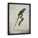 Parrot Jungle Iii - John Butler | Cuadro decorativo de Canvas Lab