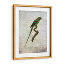 Parrot Jungle Iii - John Butler | Cuadro decorativo de Canvas Lab