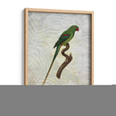 Parrot Jungle Iii - John Butler | Cuadro decorativo de Canvas Lab