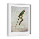 Parrot Jungle Iii - John Butler | Cuadro decorativo de Canvas Lab