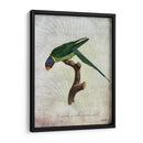Parrot Jungle Iv - John Butler | Cuadro decorativo de Canvas Lab