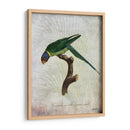 Parrot Jungle Iv - John Butler | Cuadro decorativo de Canvas Lab
