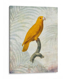 Lrot Jungle V - John Butler | Cuadro decorativo de Canvas Lab