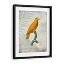 Lrot Jungle V - John Butler | Cuadro decorativo de Canvas Lab