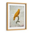 Lrot Jungle V - John Butler | Cuadro decorativo de Canvas Lab