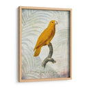 Lrot Jungle V - John Butler | Cuadro decorativo de Canvas Lab