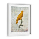 Lrot Jungle V - John Butler | Cuadro decorativo de Canvas Lab