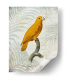 Lrot Jungle V - John Butler | Cuadro decorativo de Canvas Lab