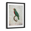 Parrot Jungle Vi - John Butler | Cuadro decorativo de Canvas Lab