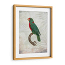 Parrot Jungle Vi - John Butler | Cuadro decorativo de Canvas Lab