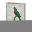 Parrot Jungle Vi - John Butler | Cuadro decorativo de Canvas Lab