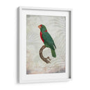Parrot Jungle Vi - John Butler | Cuadro decorativo de Canvas Lab