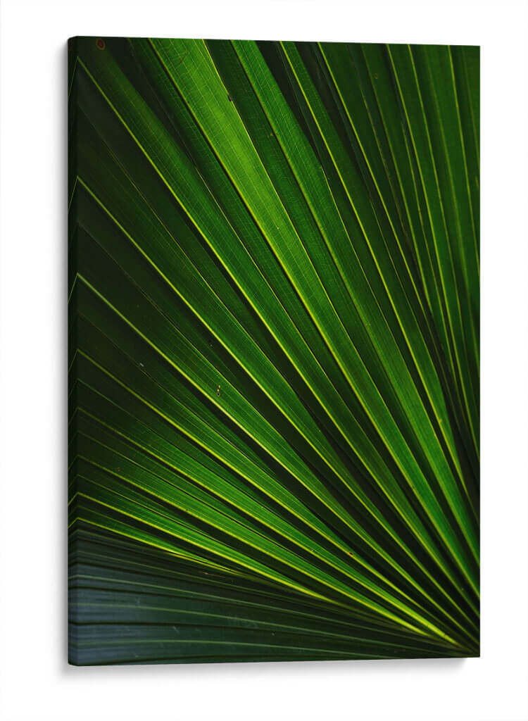Despliegue verde | Cuadro decorativo de Canvas Lab