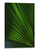 Despliegue verde | Cuadro decorativo de Canvas Lab