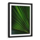 Despliegue verde | Cuadro decorativo de Canvas Lab