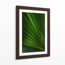 Despliegue verde | Cuadro decorativo de Canvas Lab