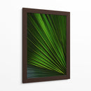 Despliegue verde | Cuadro decorativo de Canvas Lab