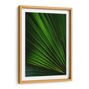 Despliegue verde | Cuadro decorativo de Canvas Lab