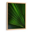 Despliegue verde | Cuadro decorativo de Canvas Lab