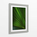 Despliegue verde | Cuadro decorativo de Canvas Lab
