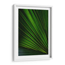 Despliegue verde | Cuadro decorativo de Canvas Lab