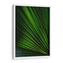 Despliegue verde | Cuadro decorativo de Canvas Lab