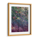 Vector De Humedales I - James Burghardt | Cuadro decorativo de Canvas Lab