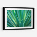 Detalle de agave | Cuadro decorativo de Canvas Lab