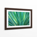 Detalle de agave | Cuadro decorativo de Canvas Lab