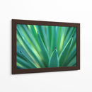 Detalle de agave | Cuadro decorativo de Canvas Lab