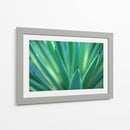 Detalle de agave | Cuadro decorativo de Canvas Lab