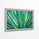Detalle de agave | Cuadro decorativo de Canvas Lab