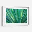 Detalle de agave | Cuadro decorativo de Canvas Lab