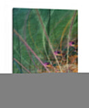 Vectores De Humedales Ii - James Burghardt | Cuadro decorativo de Canvas Lab