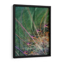 Vectores De Humedales Ii - James Burghardt | Cuadro decorativo de Canvas Lab