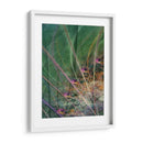 Vectores De Humedales Ii - James Burghardt | Cuadro decorativo de Canvas Lab